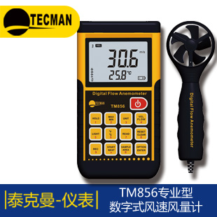 BS-30T在線式測溫儀