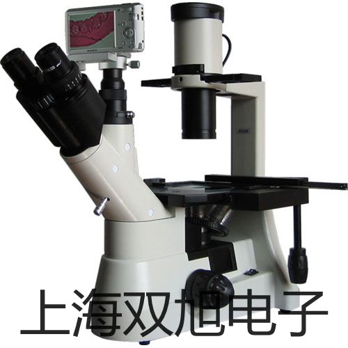 pơE2E-X1R5E1E2E-X1R5E1(sh)