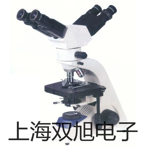 【雙旭牌】VC2503搖頭式測(cè)溫?cái)?shù)字萬(wàn)用表,VC2503供應(yīng)商