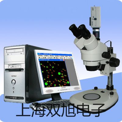 【雙旭牌】4V210-064V21006電磁閥價格