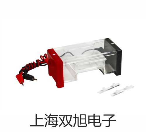 pơTA55ָfñfñ텢