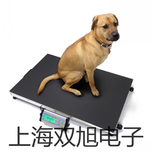 pơ늽cYXD-100ZQYXD100ZQS