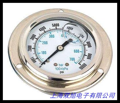 ֱNPY100 0-1.6MPA